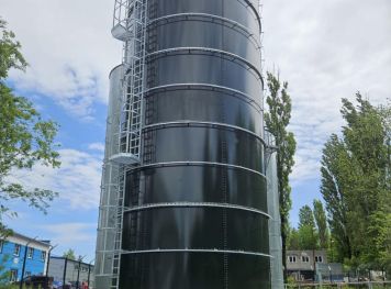 stelo oil.jpg